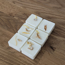 Load image into Gallery viewer, Bergamot & Neroli Wax Melts