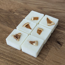 Load image into Gallery viewer, Citrus Fizz Wax Melts