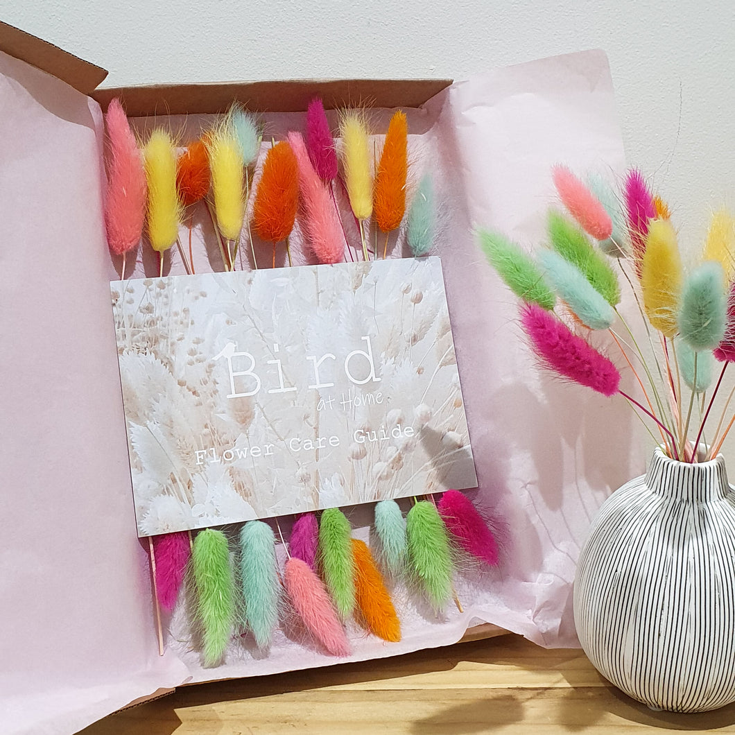 Rainbow Letterbox Bunny Tails