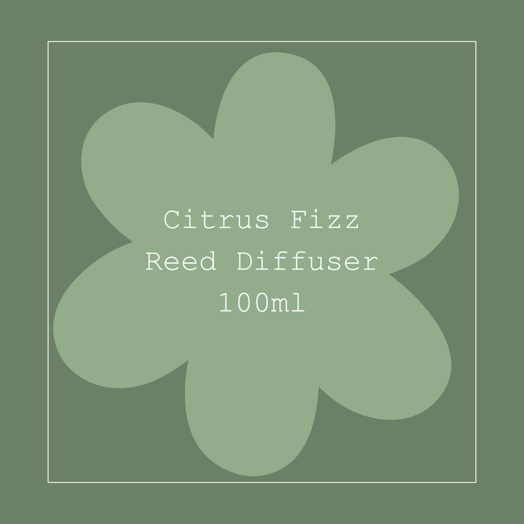 Citrus Fizz Reed Diffuser 100ml