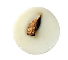 Load image into Gallery viewer, Citrus Fizz Wax Melts
