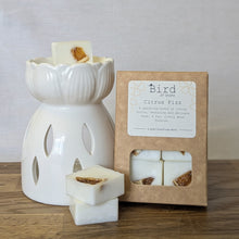Load image into Gallery viewer, Citrus Fizz Wax Melts
