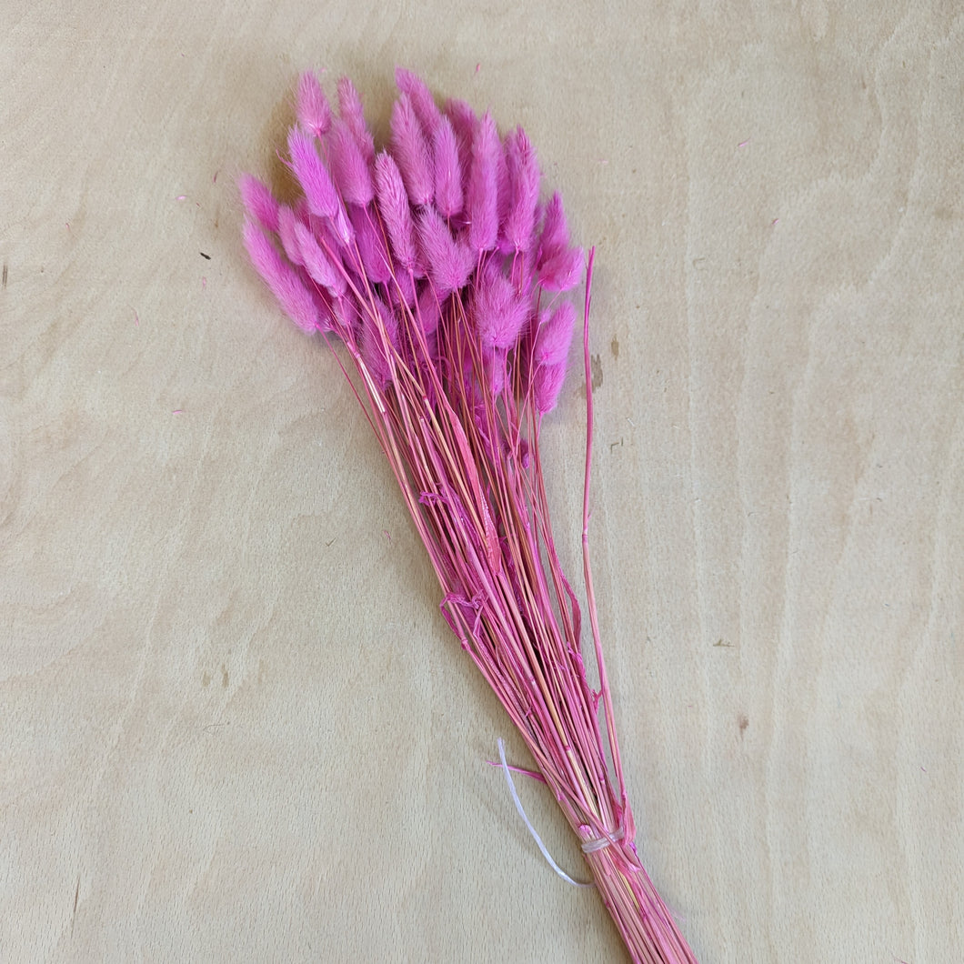 Dried Bunny Tails - Bright Pink