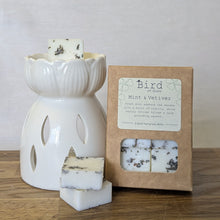 Load image into Gallery viewer, Mint &amp; Vetiver Wax Melts
