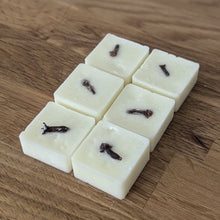Load image into Gallery viewer, Spiced Orange Wax Melts
