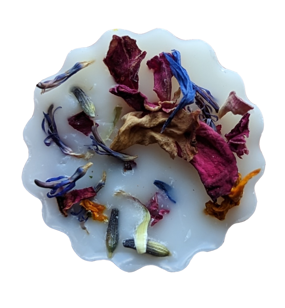 Blackberry & Bay Wax Melts Pack of 6